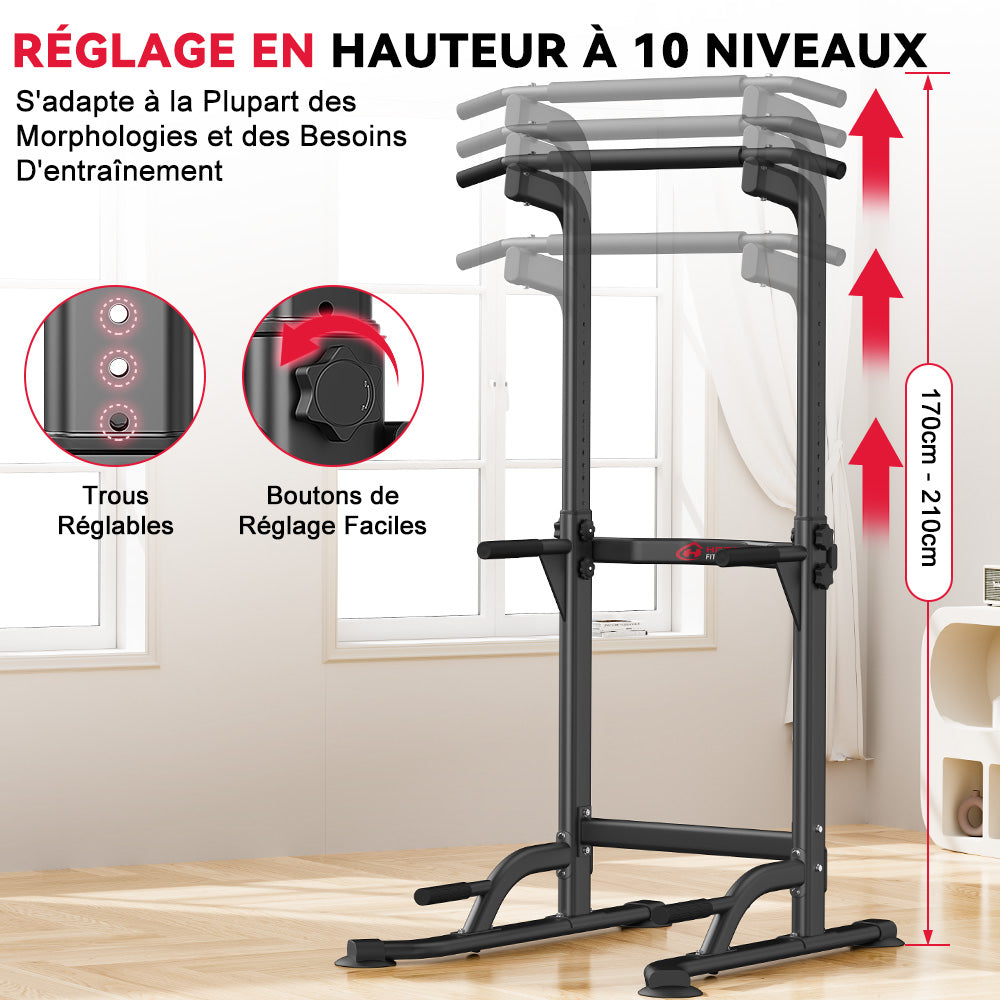 Power Tower Dip Station D1