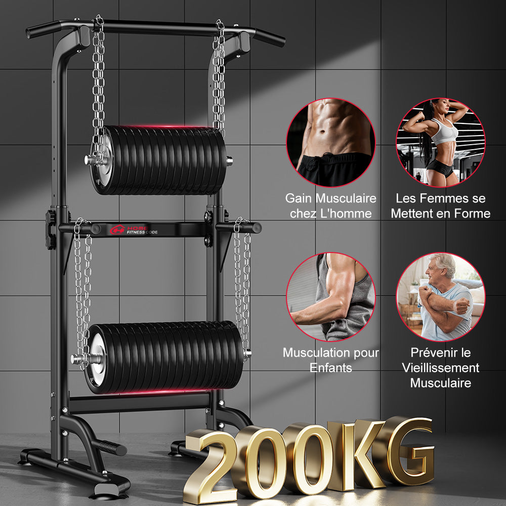 Power Tower Dip Station D1