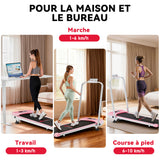 Tapis de Course Pliant C1, Vitesse 1-10KM/H, 5% Inclinaison Manuelle