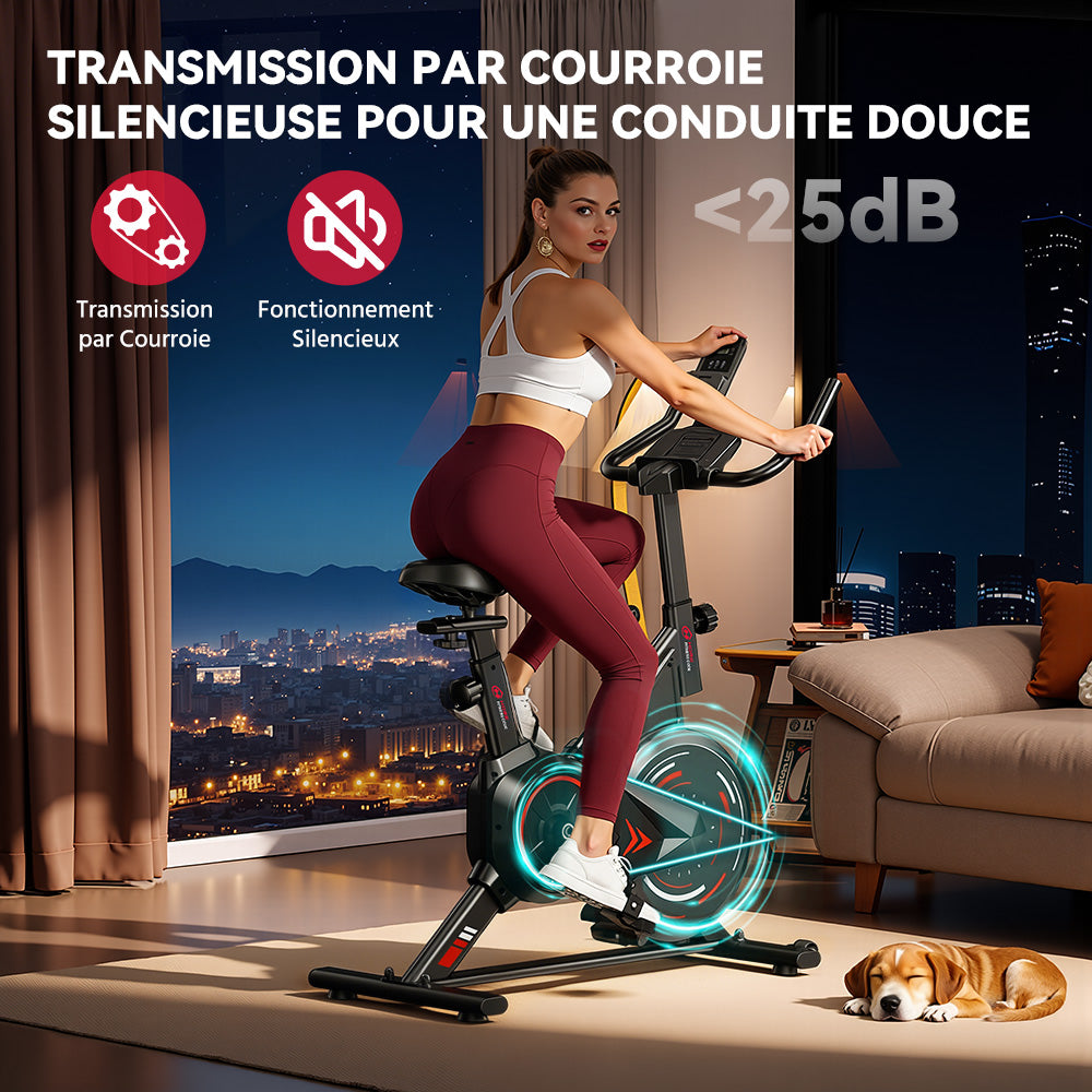 Vélo D'exercice Stationnaire C1, Volant 6 kg