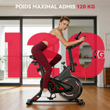 Vélo D'exercice Stationnaire C1, Volant 6 kg