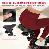 Vélo D'exercice Stationnaire C1, Volant 6 kg