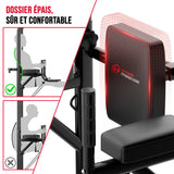 Power Tower Dip Station A1, avec Bandes de Résistance