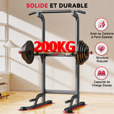 Power Tower Dip Station D1