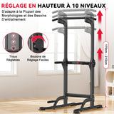 Power Tower Dip Station D1