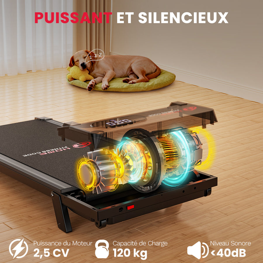 Tapis de Course – HomeFitnessCode - France